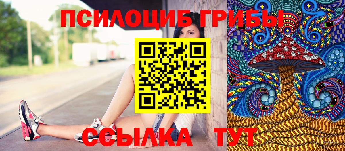 Галлюциногенные грибы Psilocybe  Вход с VPN  Славгород 